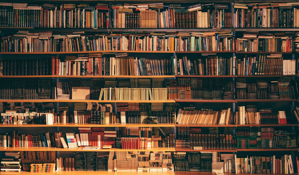 Confira dicas para organizar sua estante de livros