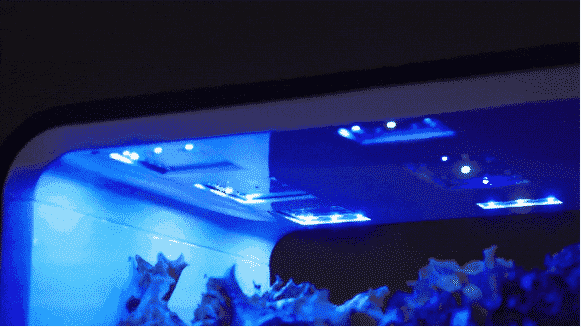 Iluminação LED refletindo a cor azul.