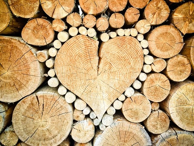 Pedaços de madeira em formato de coração.