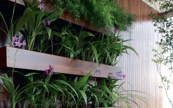 Exemplo de jardim vertical para decorar seu apartamento garden.