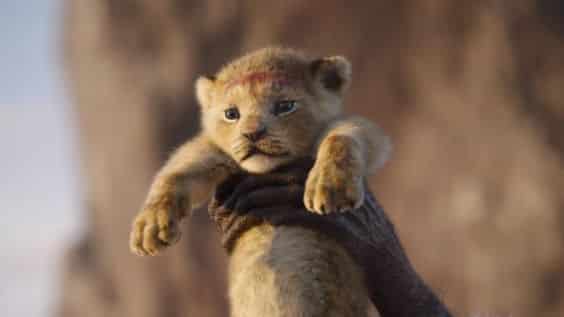 Simba ainda bebe, o pequeno rei leão que é o destaque da trama.