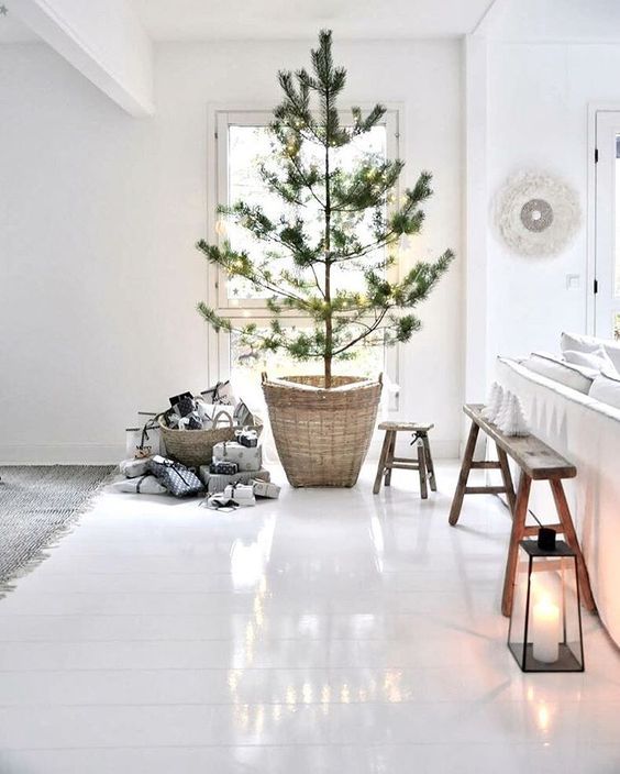 Decoração de árvore de Natal: confira 14 ideias incríveis! - Live