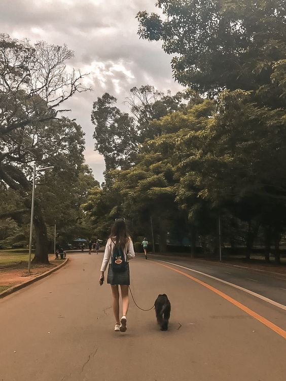 Cão passeando no parque ao lado de sua dona.