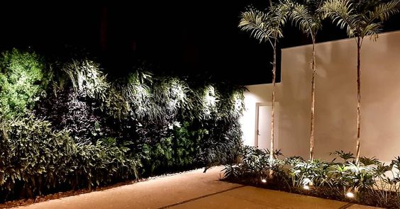 A esquerda parede verde e a esquerda palmeiras, ambas com iluminação externa.