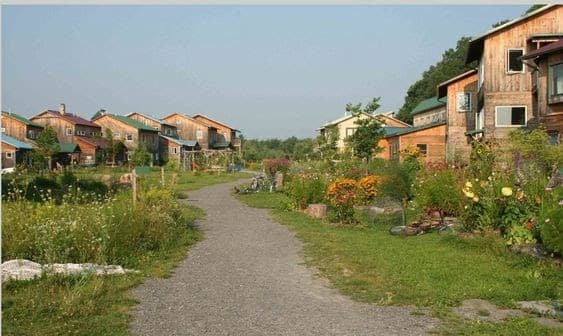 Ecovila com pequenas casas em meio a um caminho de flores e plantas.