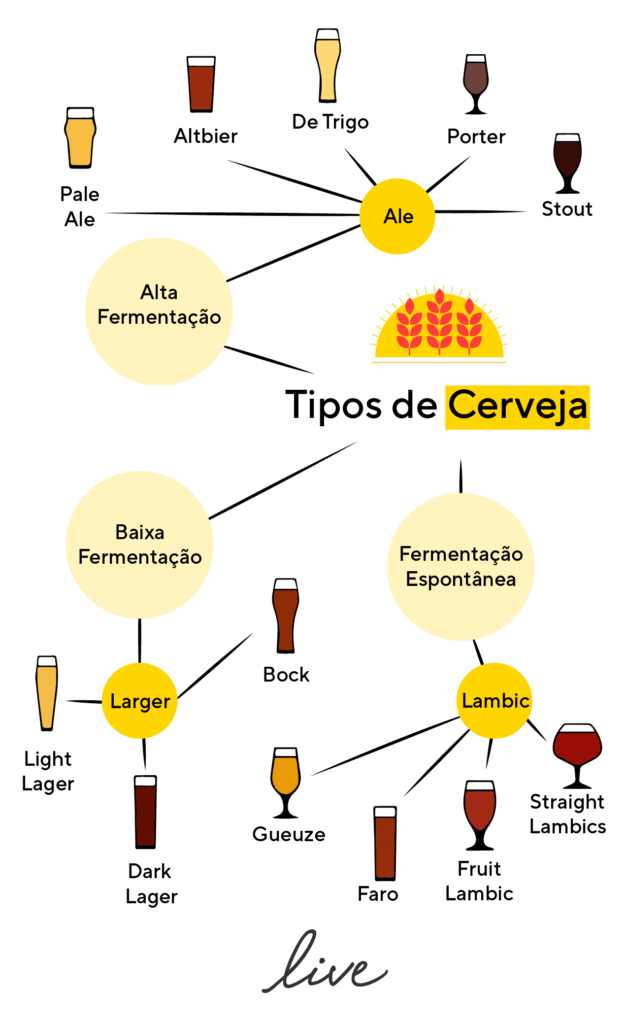Os variados tipos de cerveja variando em fermentação, família e estilos.
