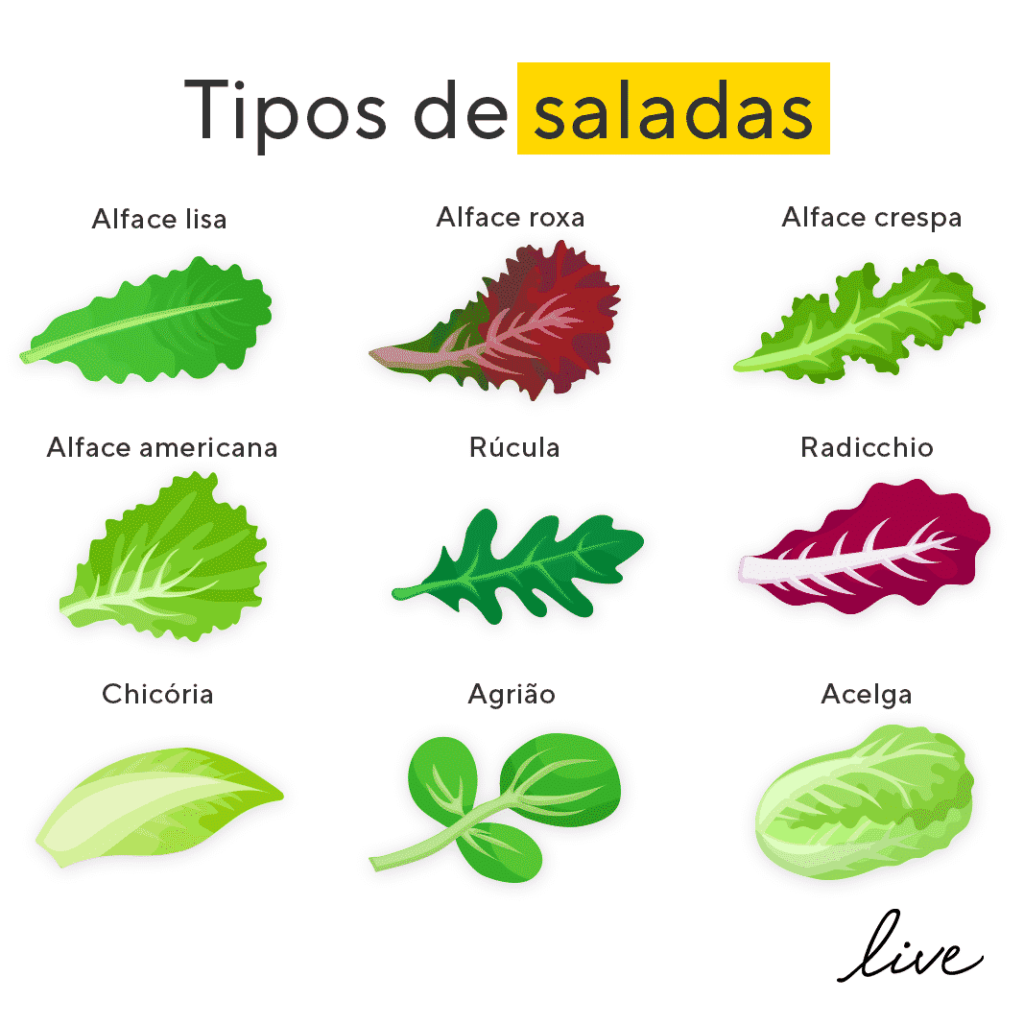 Tipos de folhas para salada.