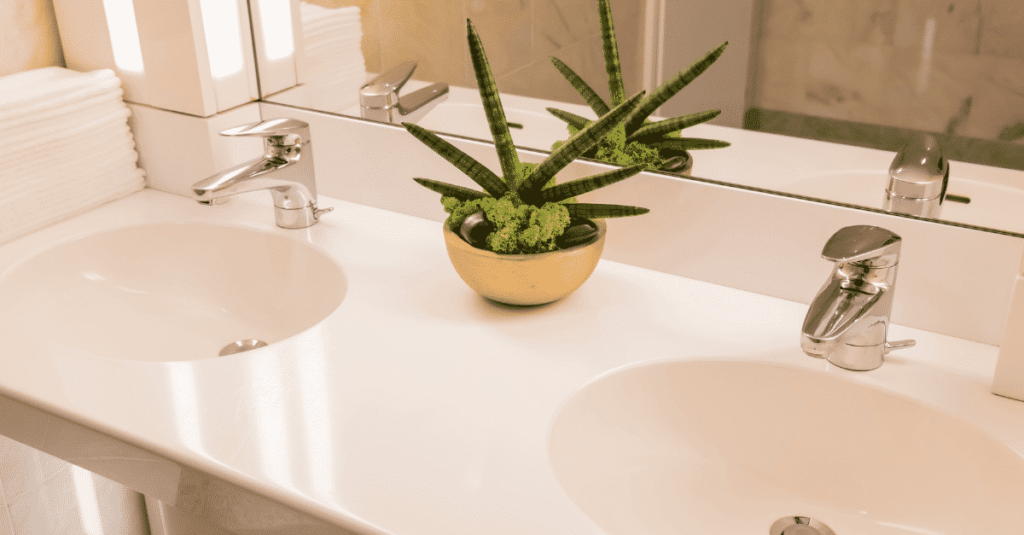 Planta sobre pia de banheiro branca como uma decoração para banheiro.