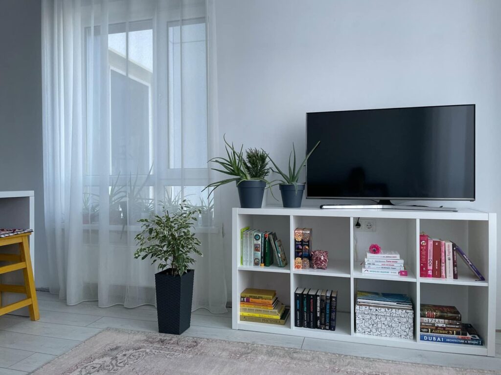 Televisão em cima d eum rack, numa sala de estar com decoração simples, com livros, tapete, plantas e cortina branca.
