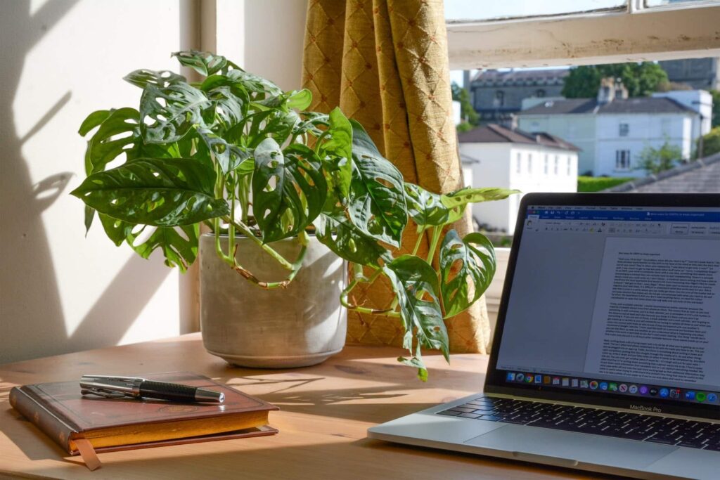 A iluminação natural entra pela janela e ilumina a mesa, o computador, a planta e a caneta. Ela é essencial para garantir mais conforto visual no escritório em casa.