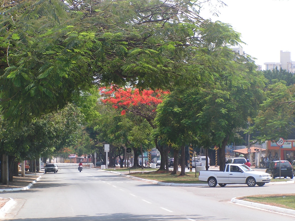 Com infraestrutura completa, o Jardim América é um dos melhores bairros de Goiânia.