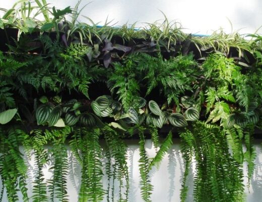 Jardim suspenso colocado diretamente na parede com plantas de vários tipos.