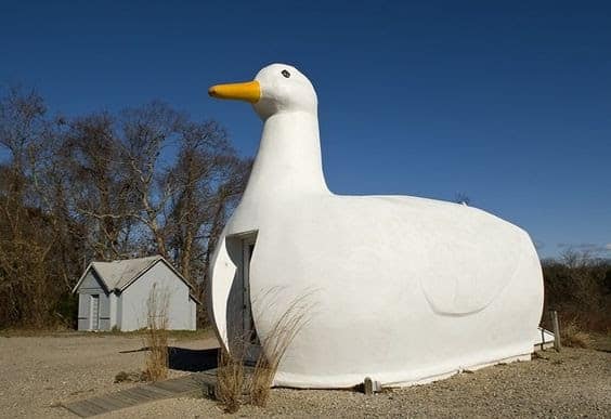 Edifício Big Duck com formato de pato.
