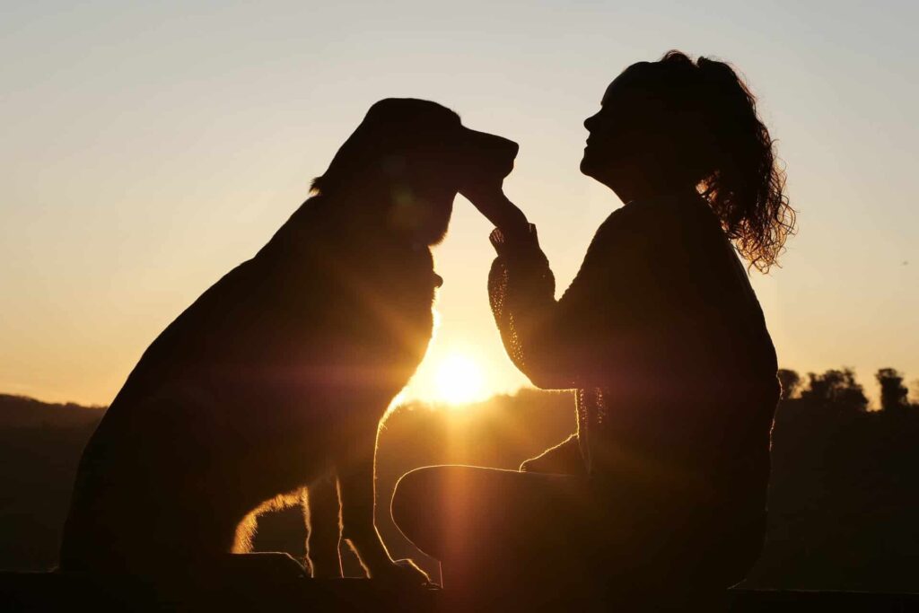 Mulher fazendo carinho no queixo de um cachorro, com um pôr-do-sol ao fundo.